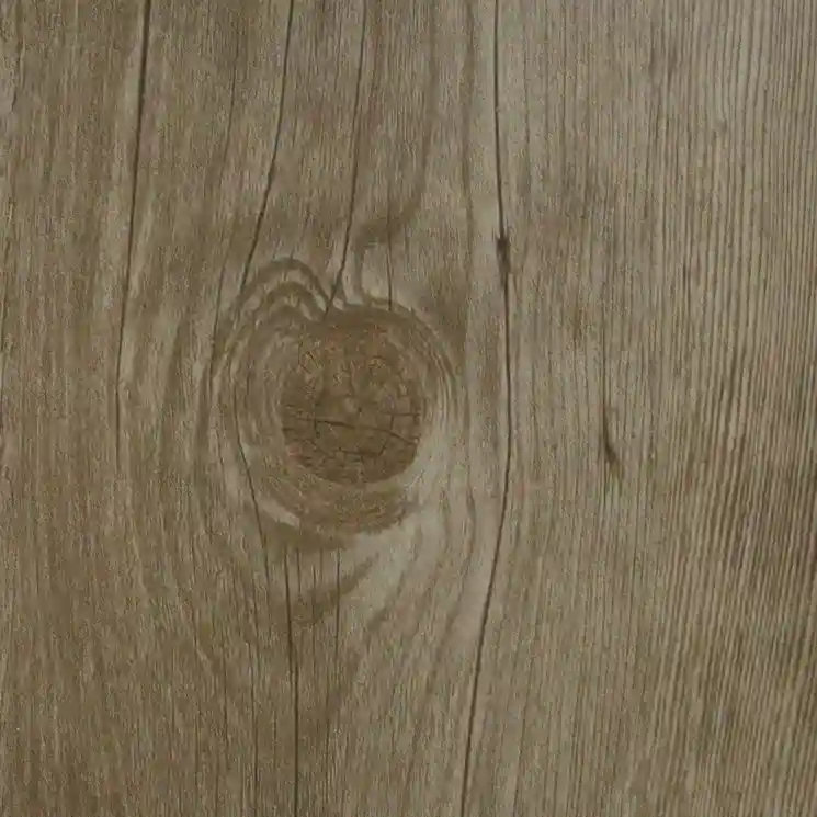 Richmond SPC Prime – Cappuccino